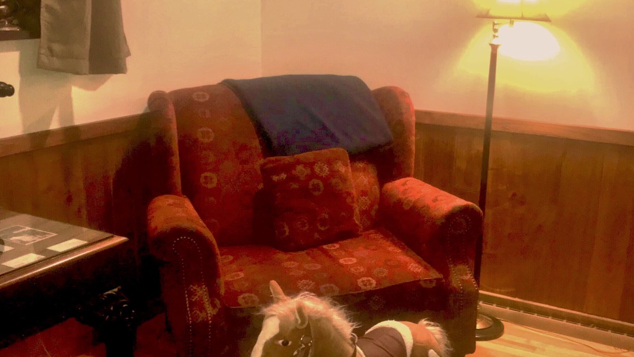 Photo of Livingroom in Intervale