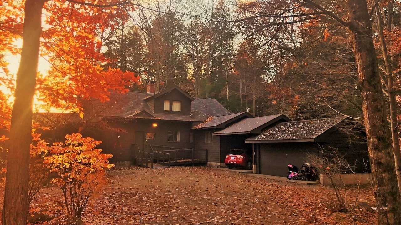 Photo of Others in Intervale
