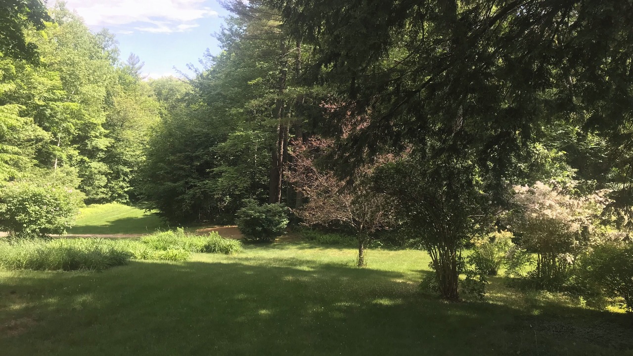 Photo of Outdoor in Intervale