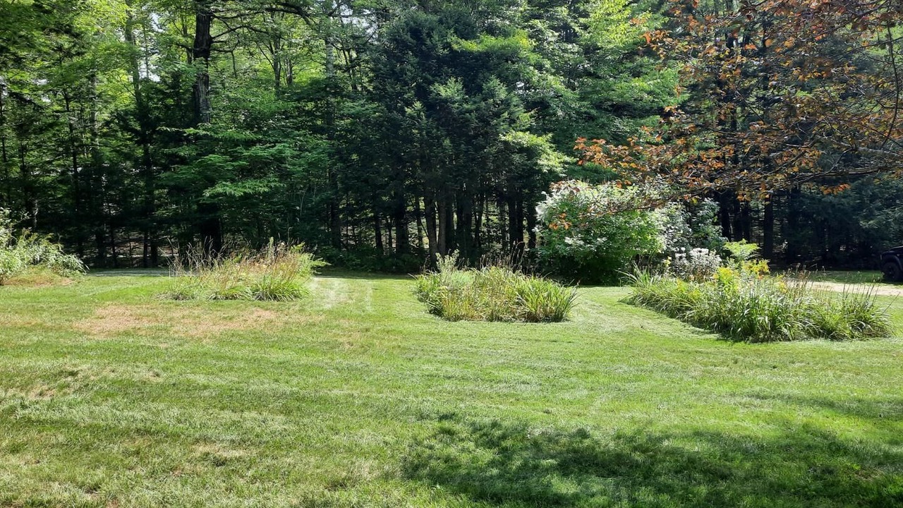 Photo of Outdoor in Intervale