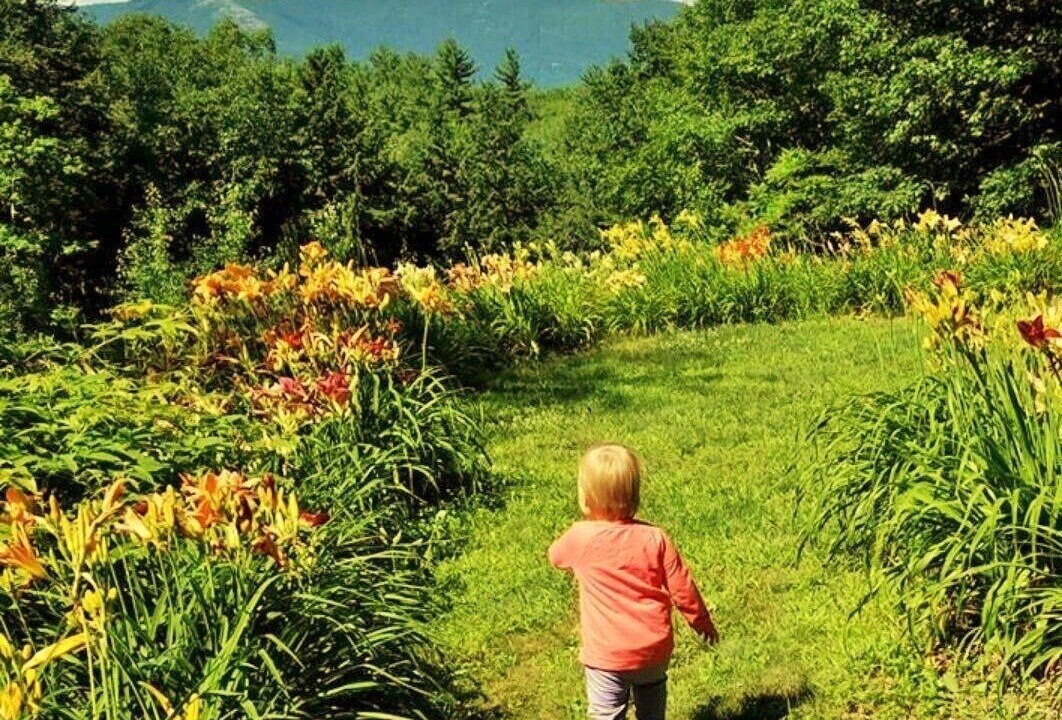 Photo of Outdoor in Intervale