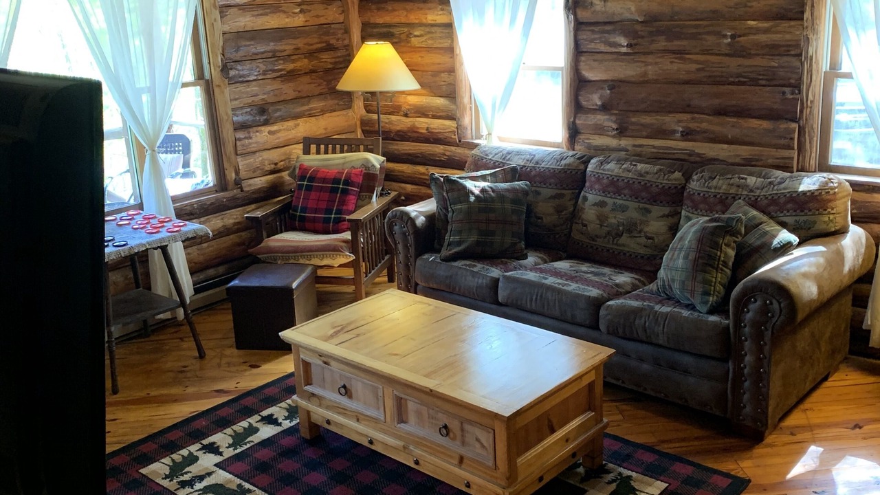 Photo of Livingroom in South Kortright