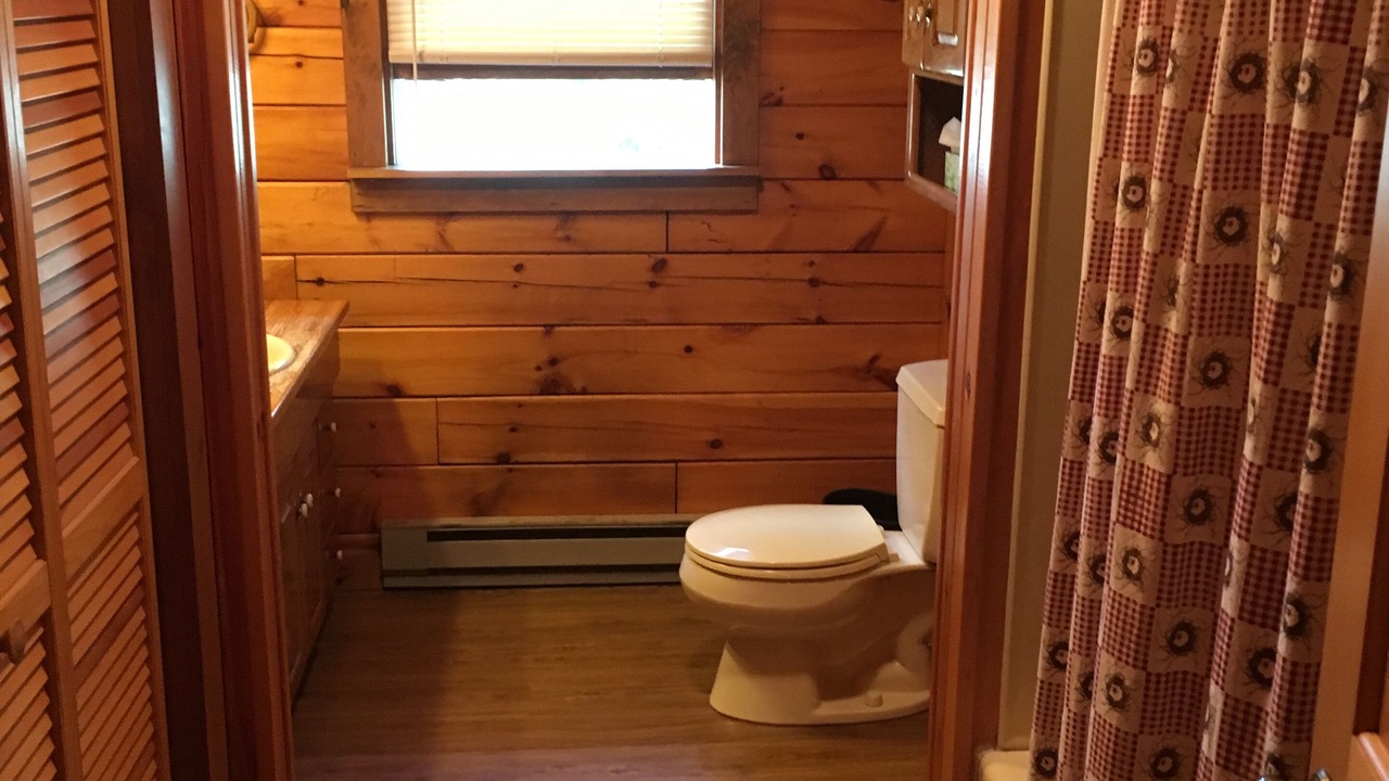 Photo of Bathroom in Starrucca