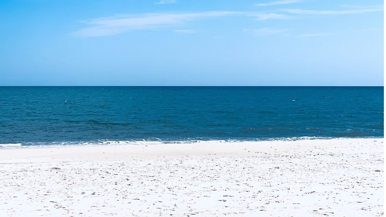 Photo of Others in Westhampton Beach