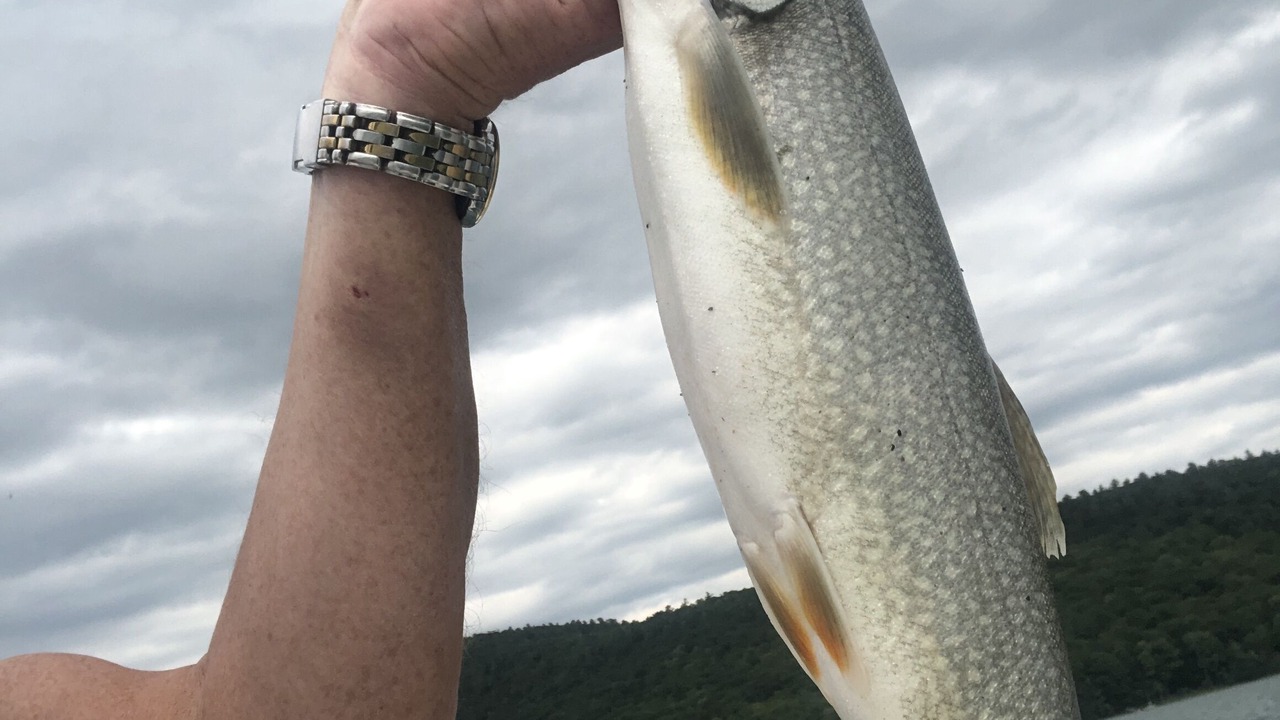 Photo of Others in Cooperstown - Otsego Lake