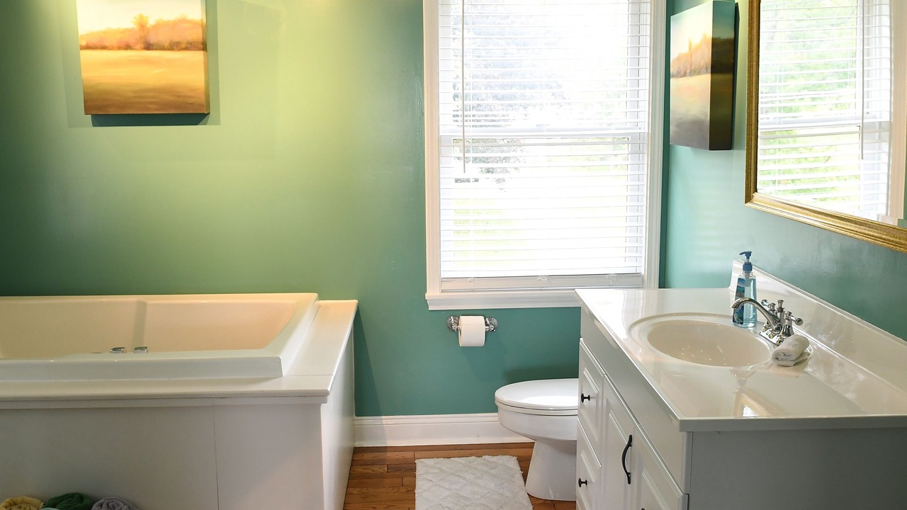 Photo of Bathroom in Seneca Falls
