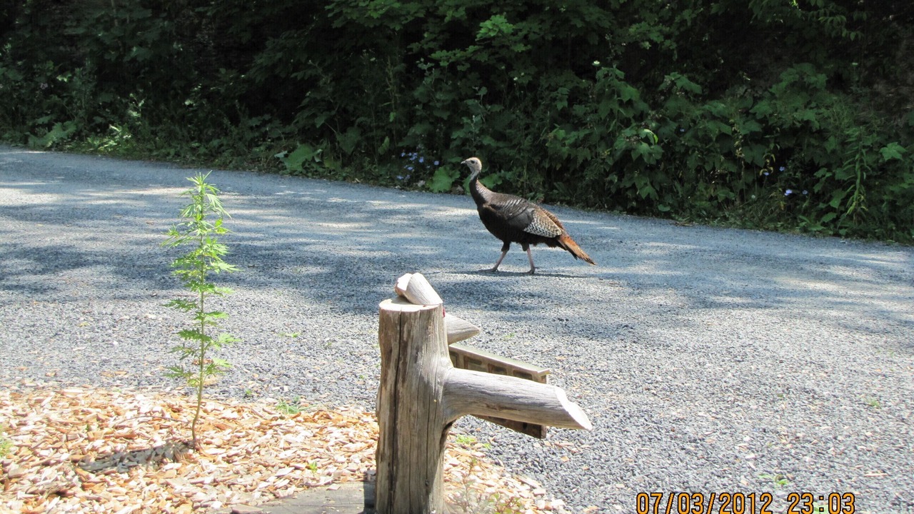 Photo of Others in Valois
