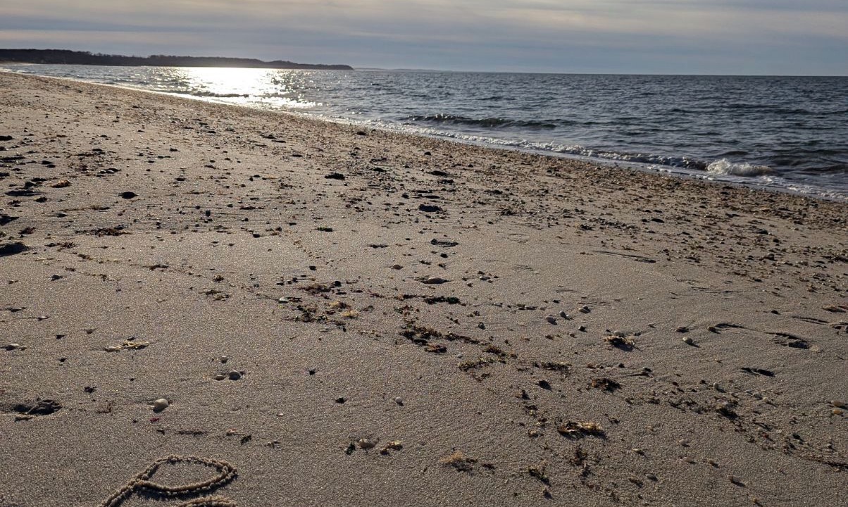 Photo of Others in Peconic