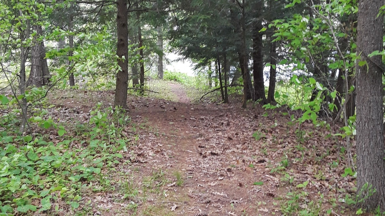 Photo of Others in Wells River