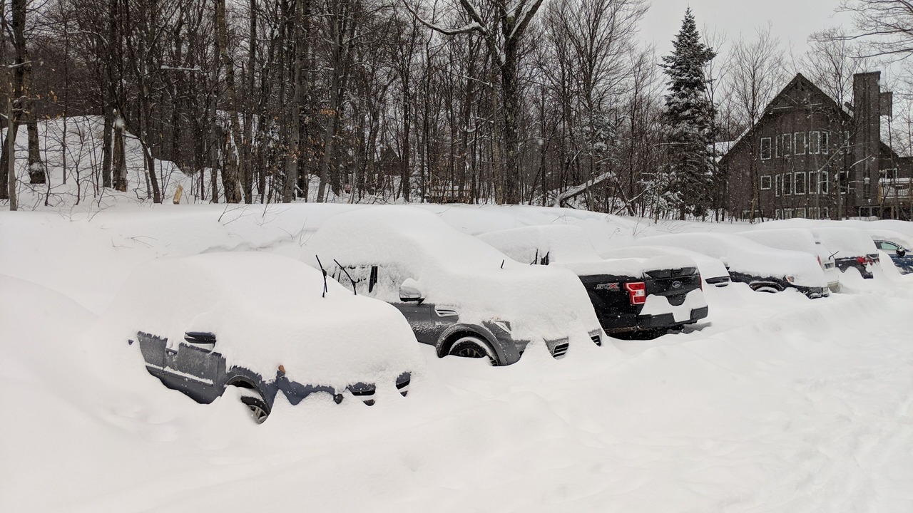 Photo of Others in North Troy