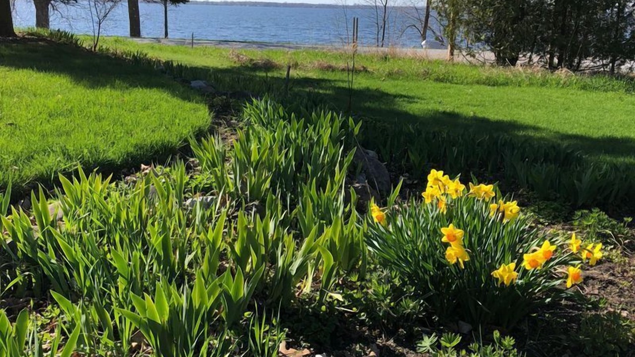 Photo of Outdoor in Alburg