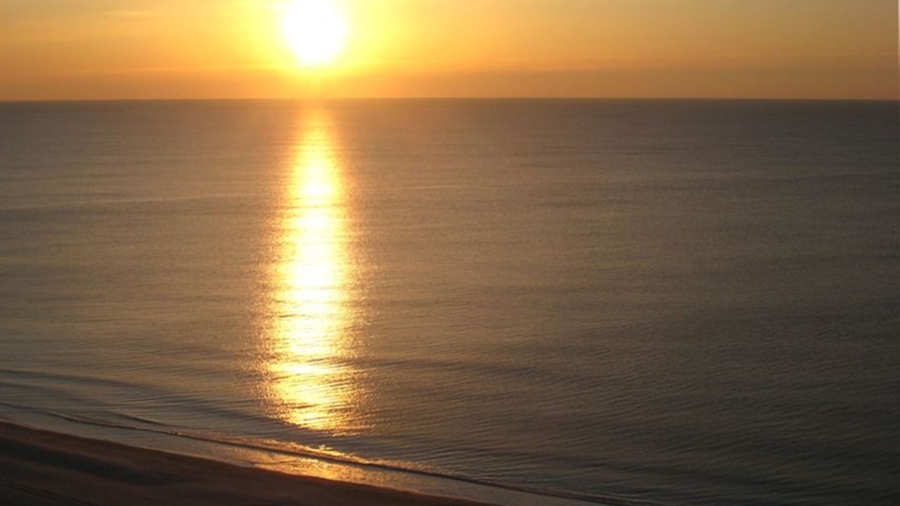 Photo of Others in Myrtle Beach