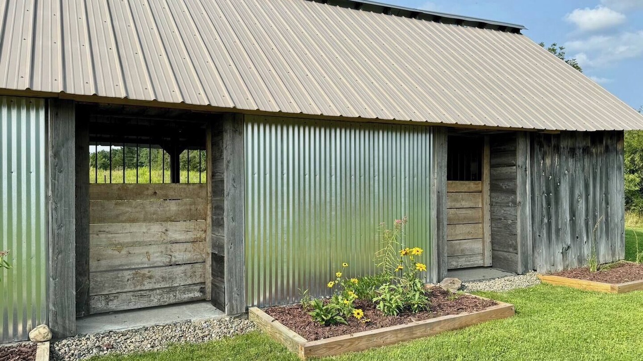 Photo of Outdoor in Hector