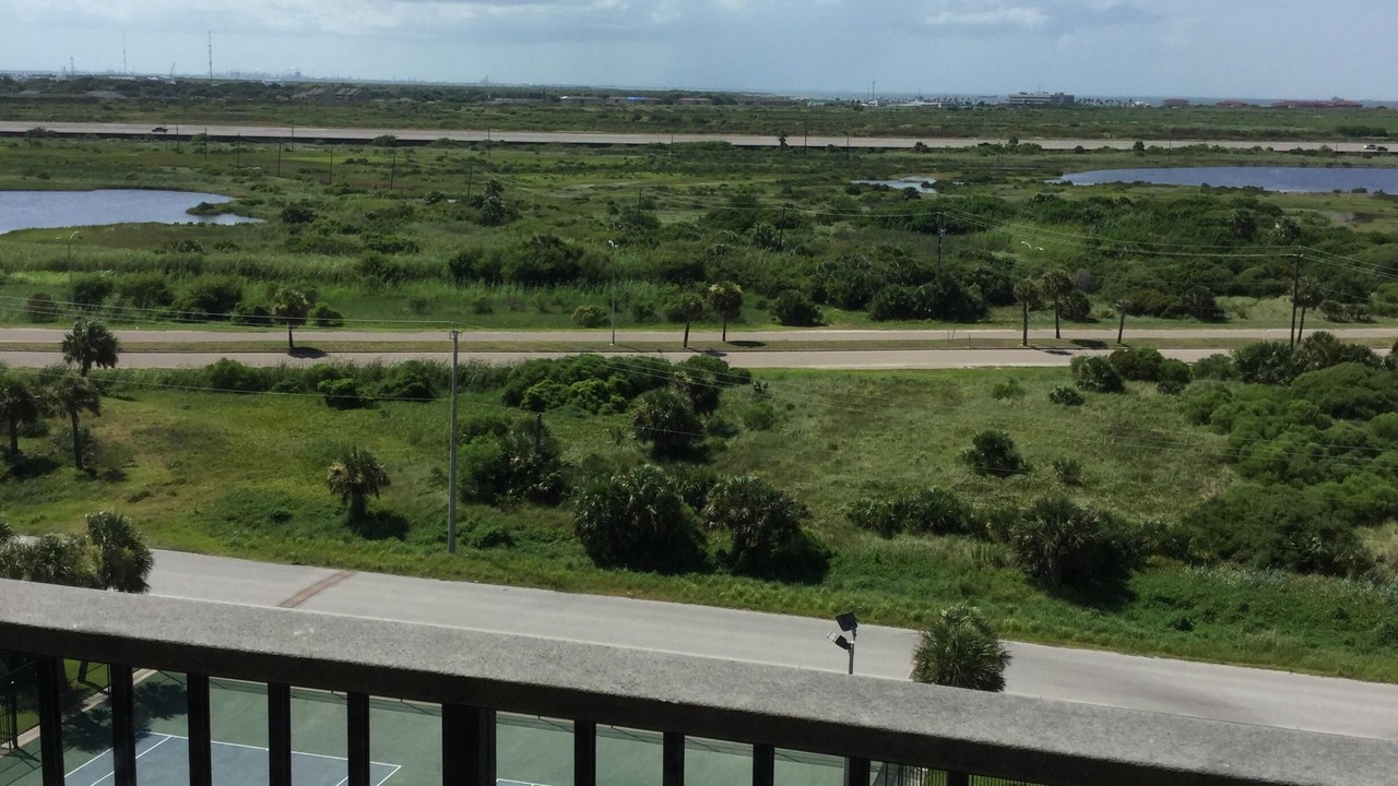 Photo of Others in Galveston
