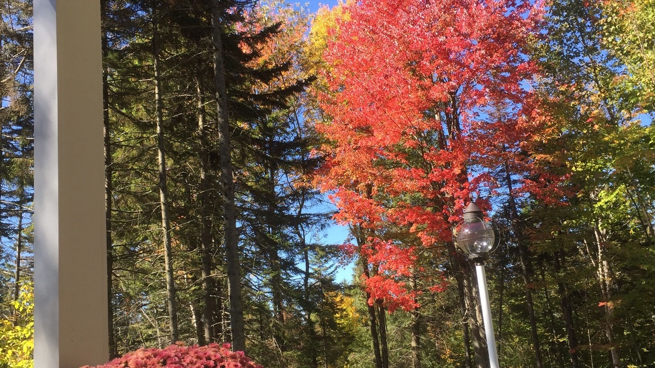 Photo of Outdoor in Wolcott