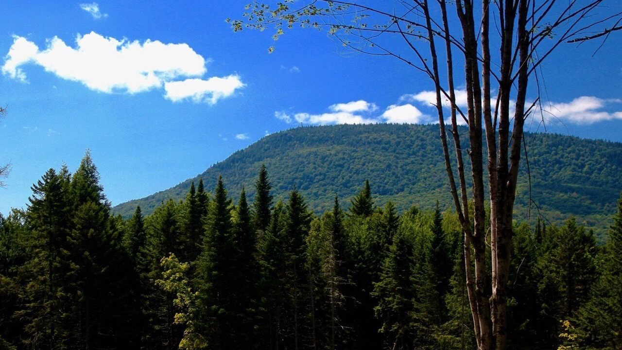 Photo of Outdoor in Wolcott