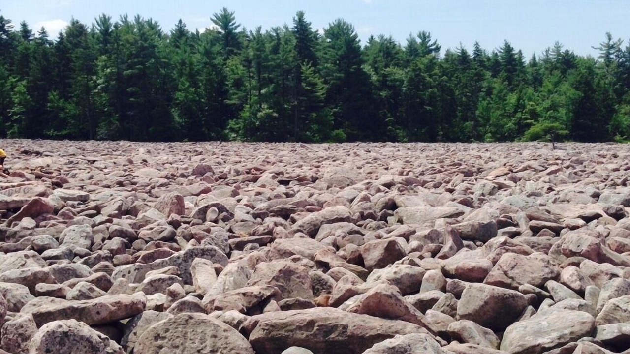 Photo of Others in Lake Harmony Estates
