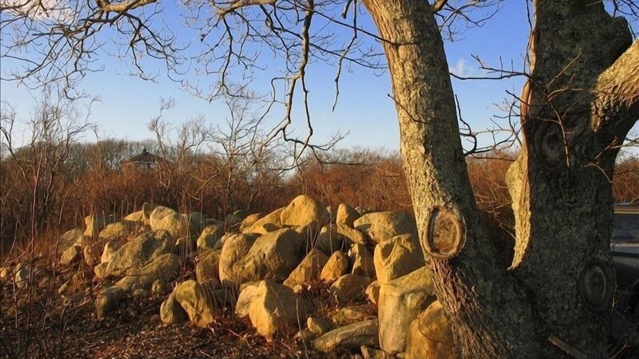 Photo of Others in Aquinnah