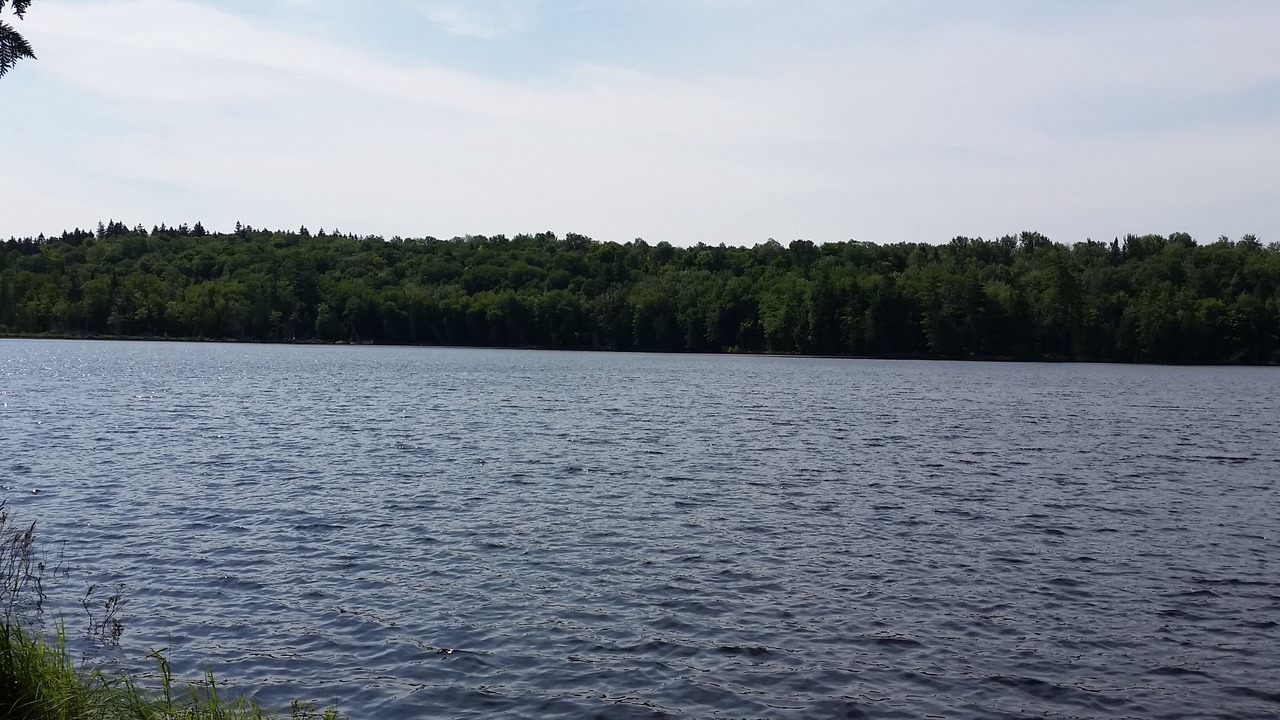 Photo of Others in Lake Clear