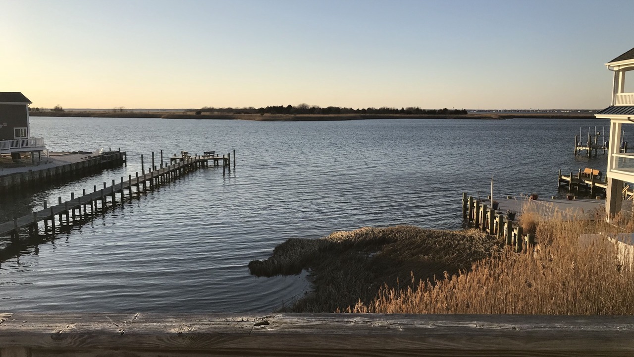Photo of Outdoor in North Beach Haven