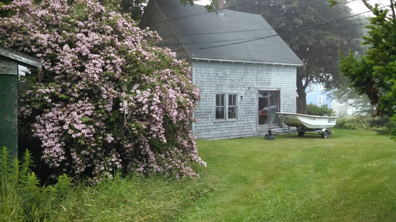 Photo of Others in Jonesport