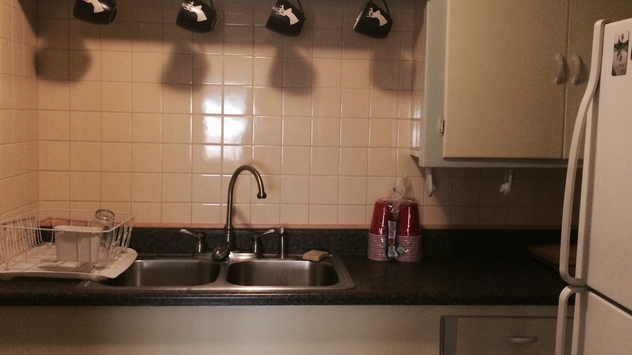 Photo of Kitchen in Willard