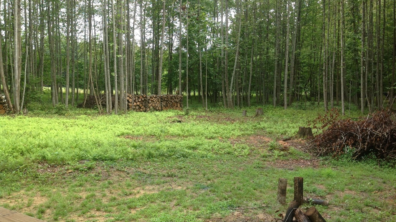 Photo of Outdoor in Mt Lookout