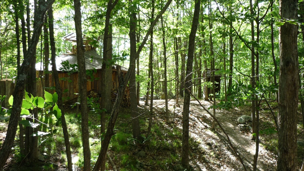 Photo of Others in West Pawlet