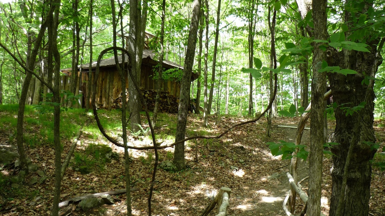 Photo of Others in West Pawlet