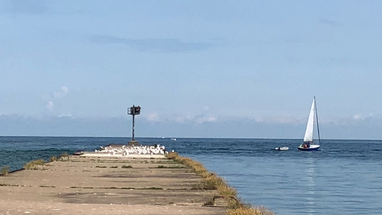 Photo of Others in Fair Haven