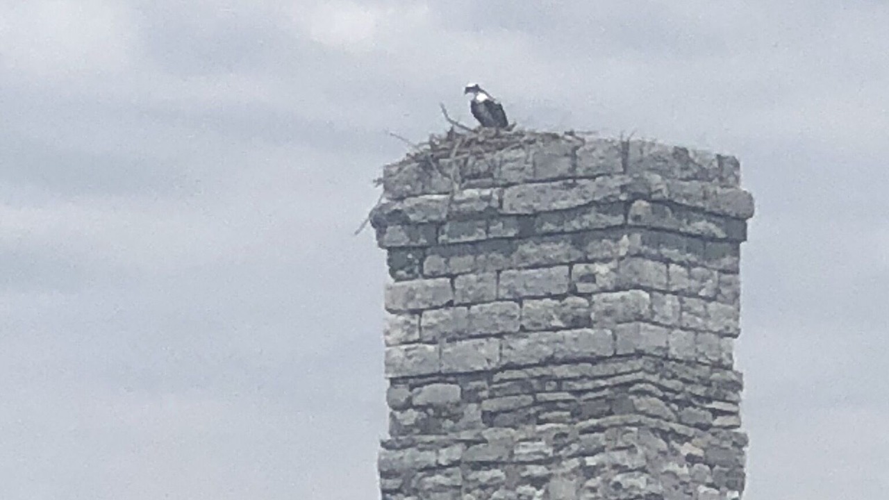 Photo of Others in Cape Vincent