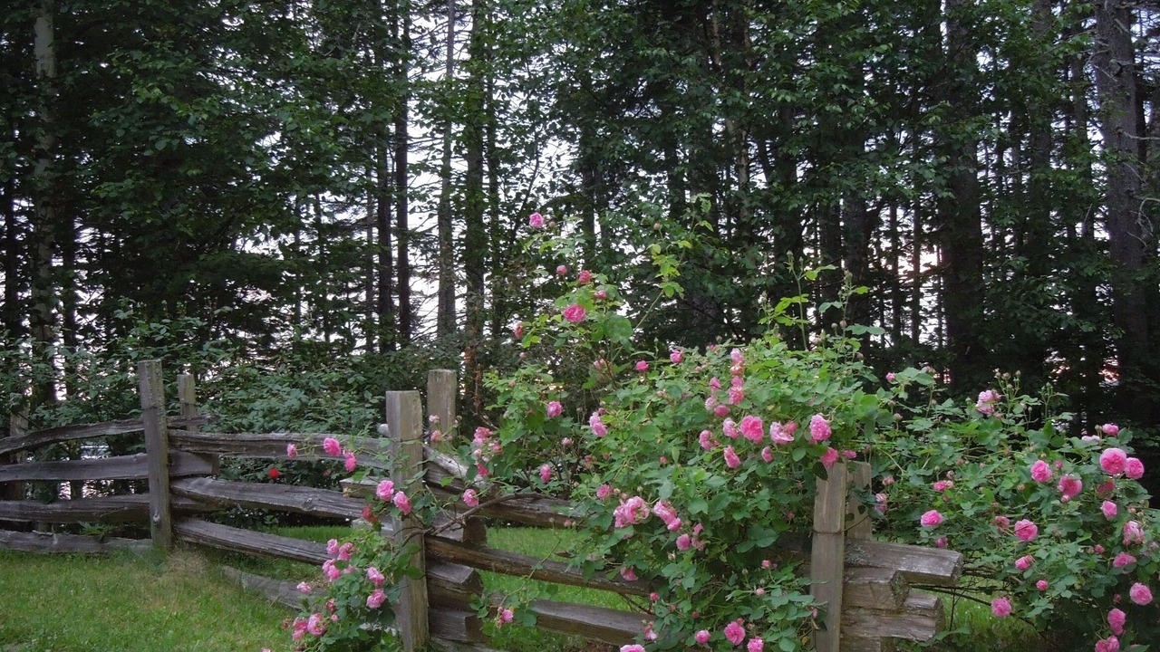 Photo of Outdoor in Steuben