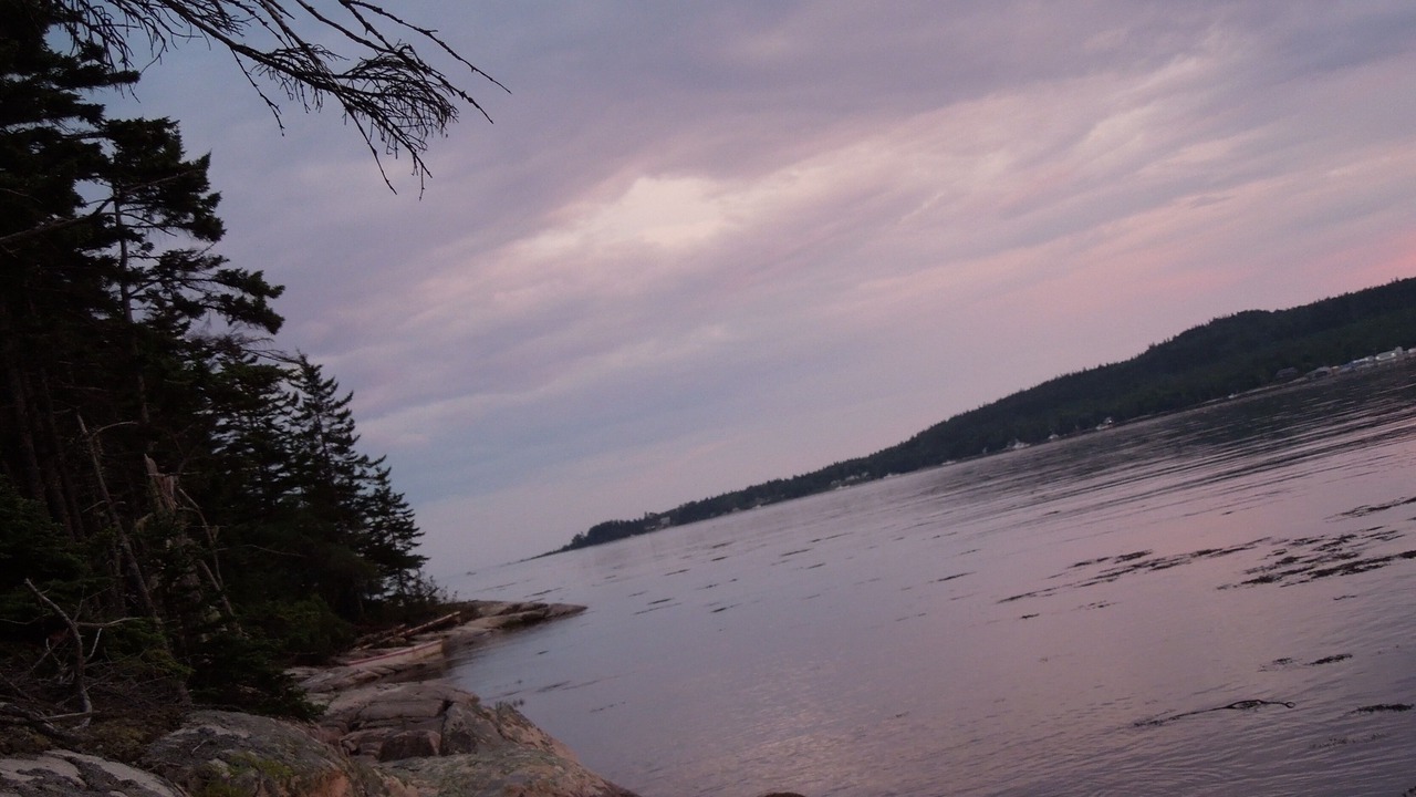 Photo of Others in Steuben
