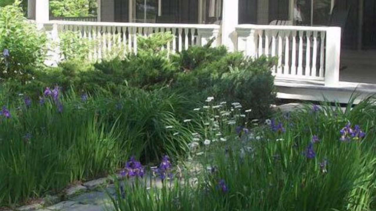 Photo of Outdoor in Waldoboro