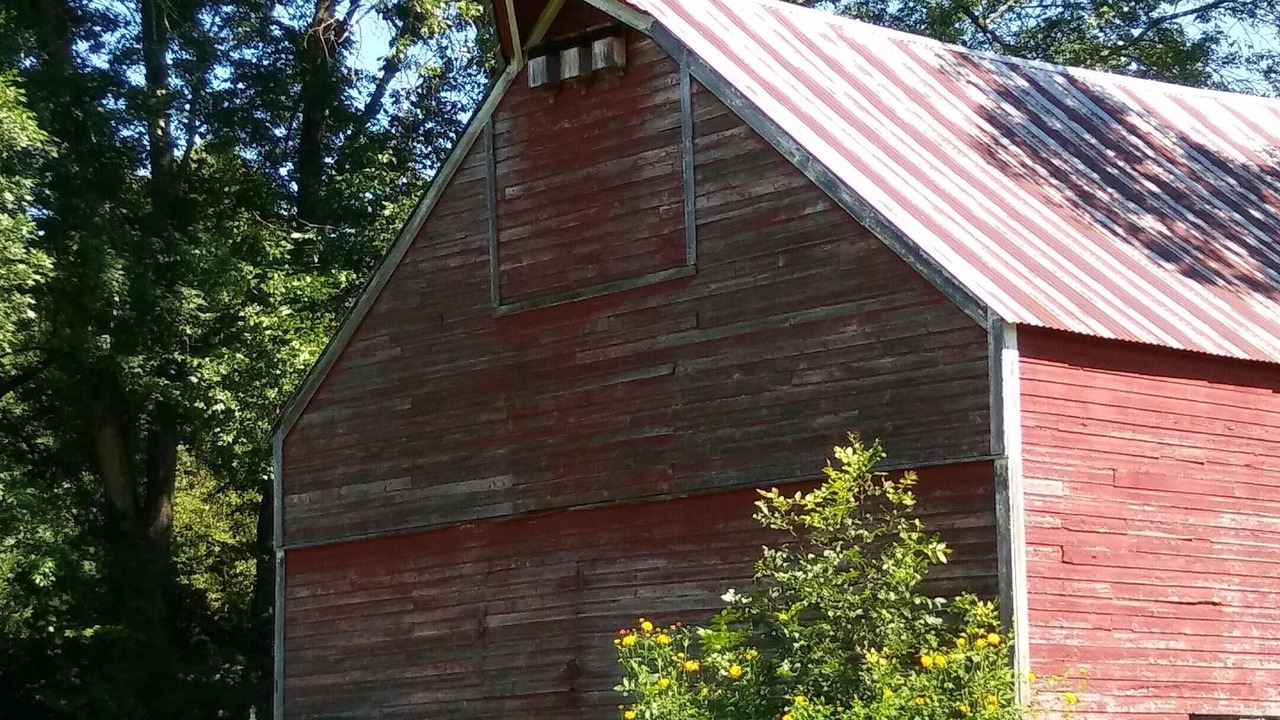 Photo of Others in Vergennes