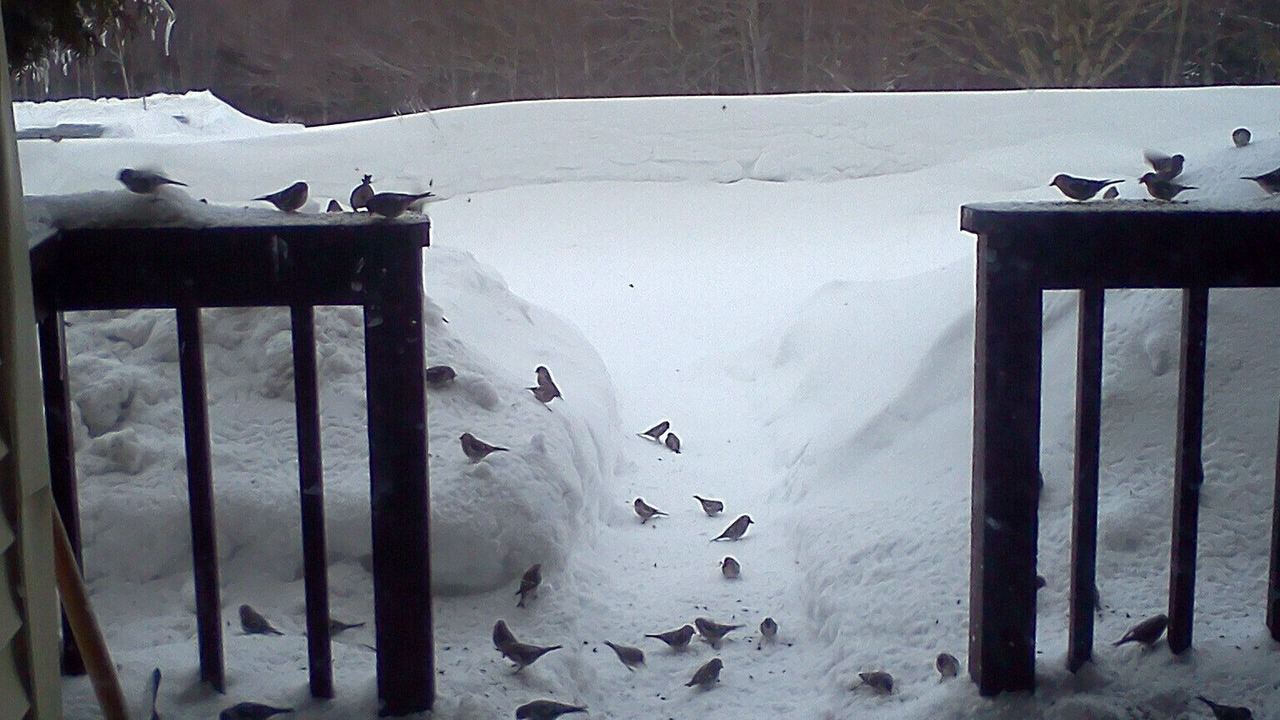 Photo of Others in Bolton Valley