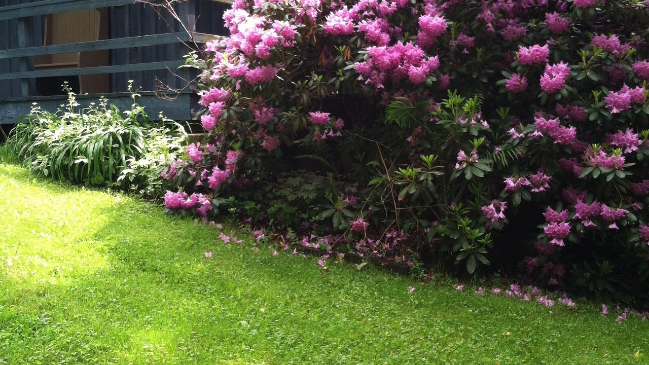 Photo of Outdoor in Ulysses