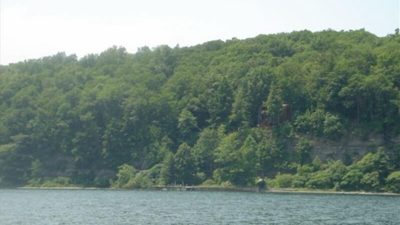 Photo of Others in Rock Stream