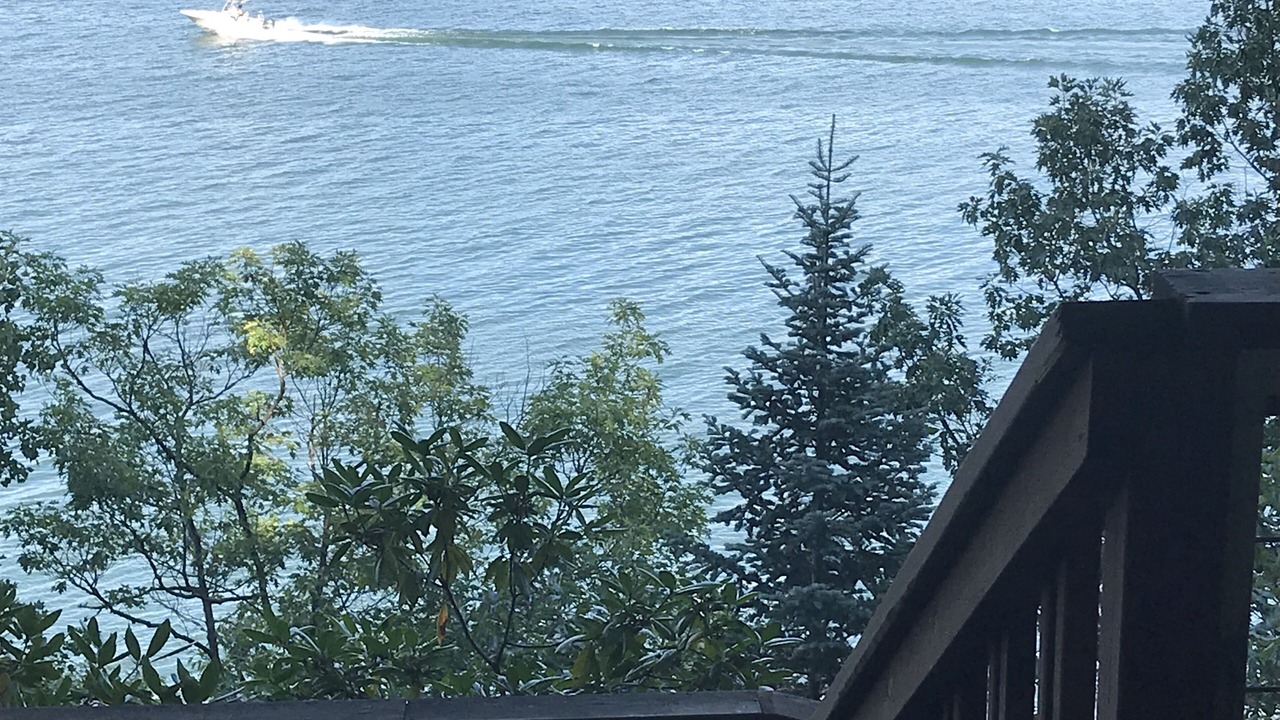 Photo of Outdoor in Rock Stream