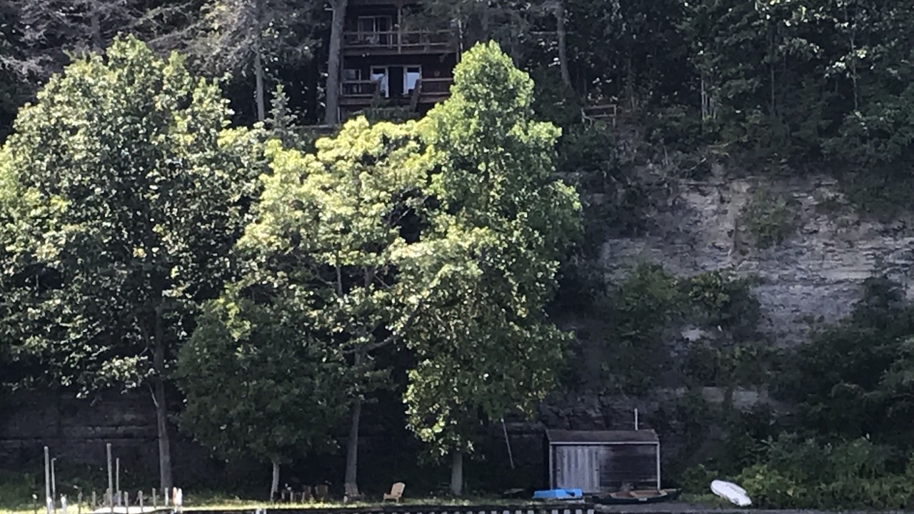 Photo of Others in Rock Stream
