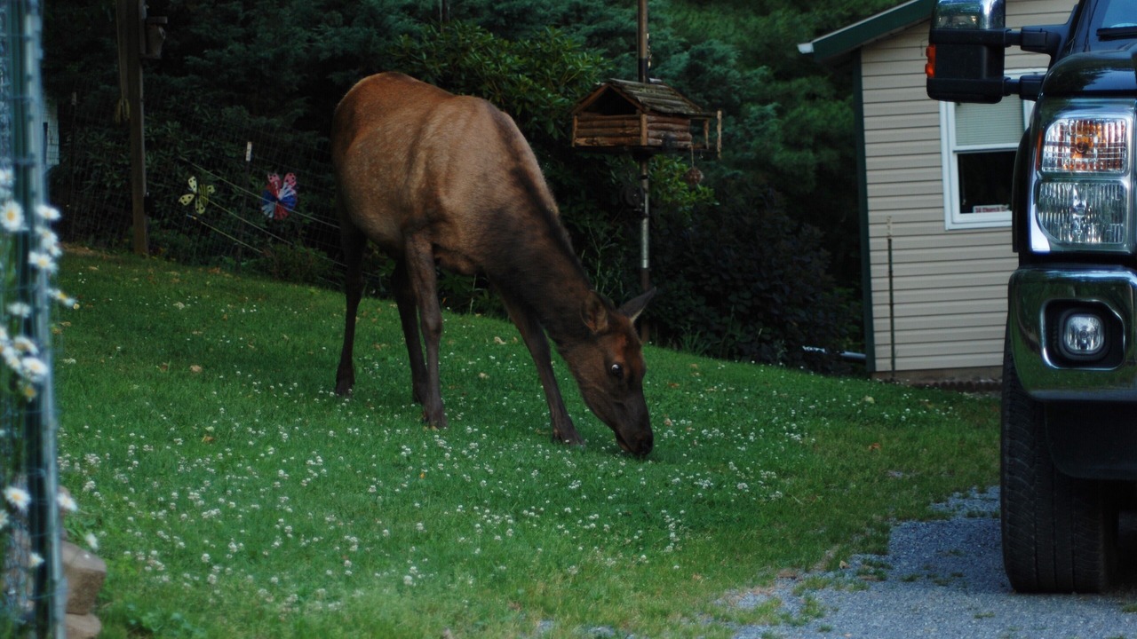 Photo of Others in Benezette