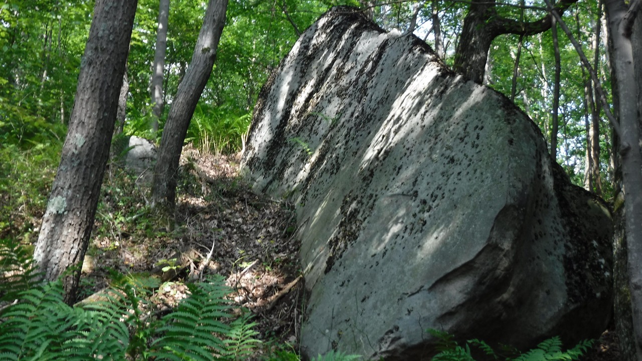 Photo of Others in Friendsville