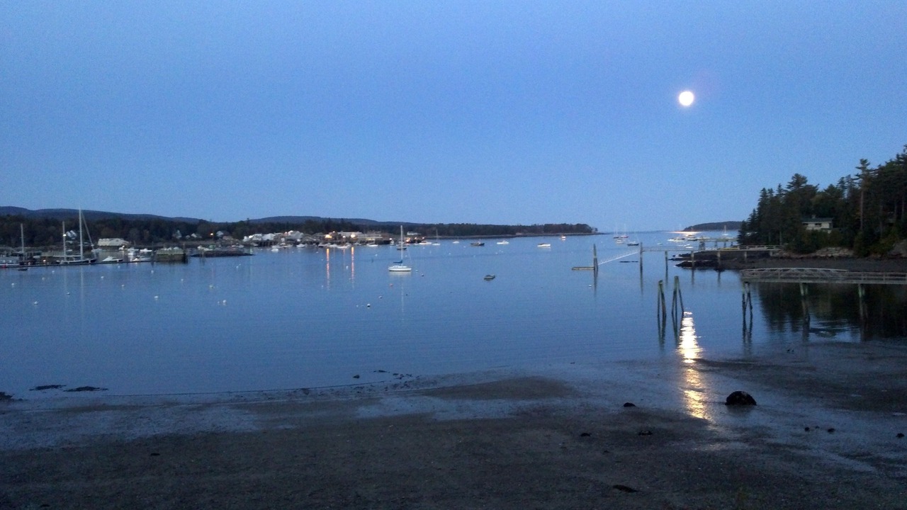 Photo of Others in Bar Harbor