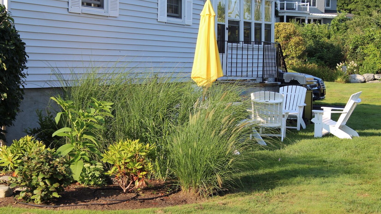 Photo of Outdoor in Rye