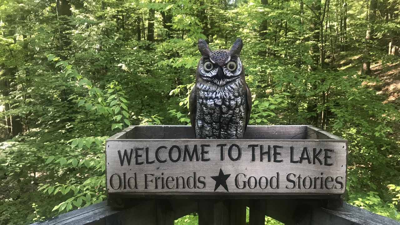 Photo of Others in Bolton Landing