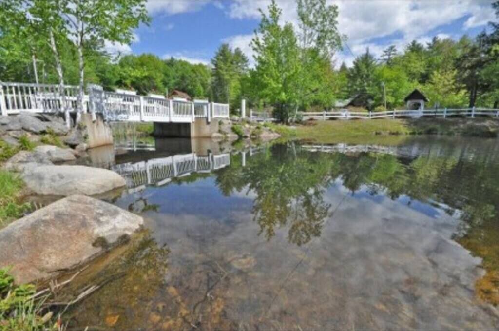 Photo of Others in Moultonborough