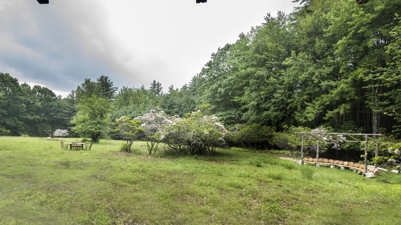 Photo of Outdoor in Willow