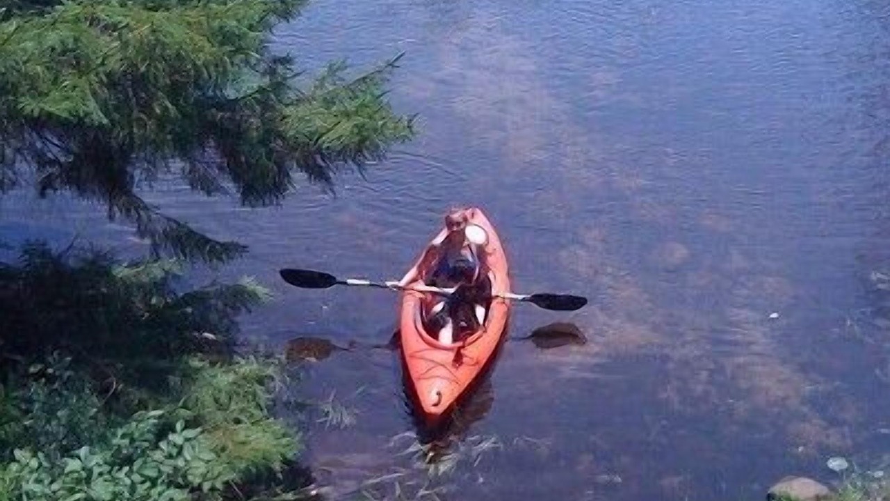 Photo of Others in Woodstock