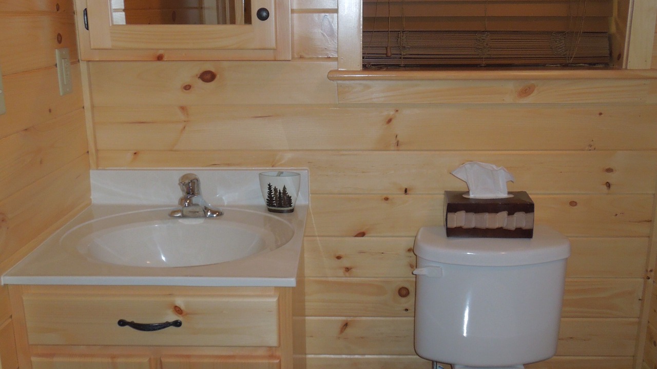 Photo of Bathroom in North River