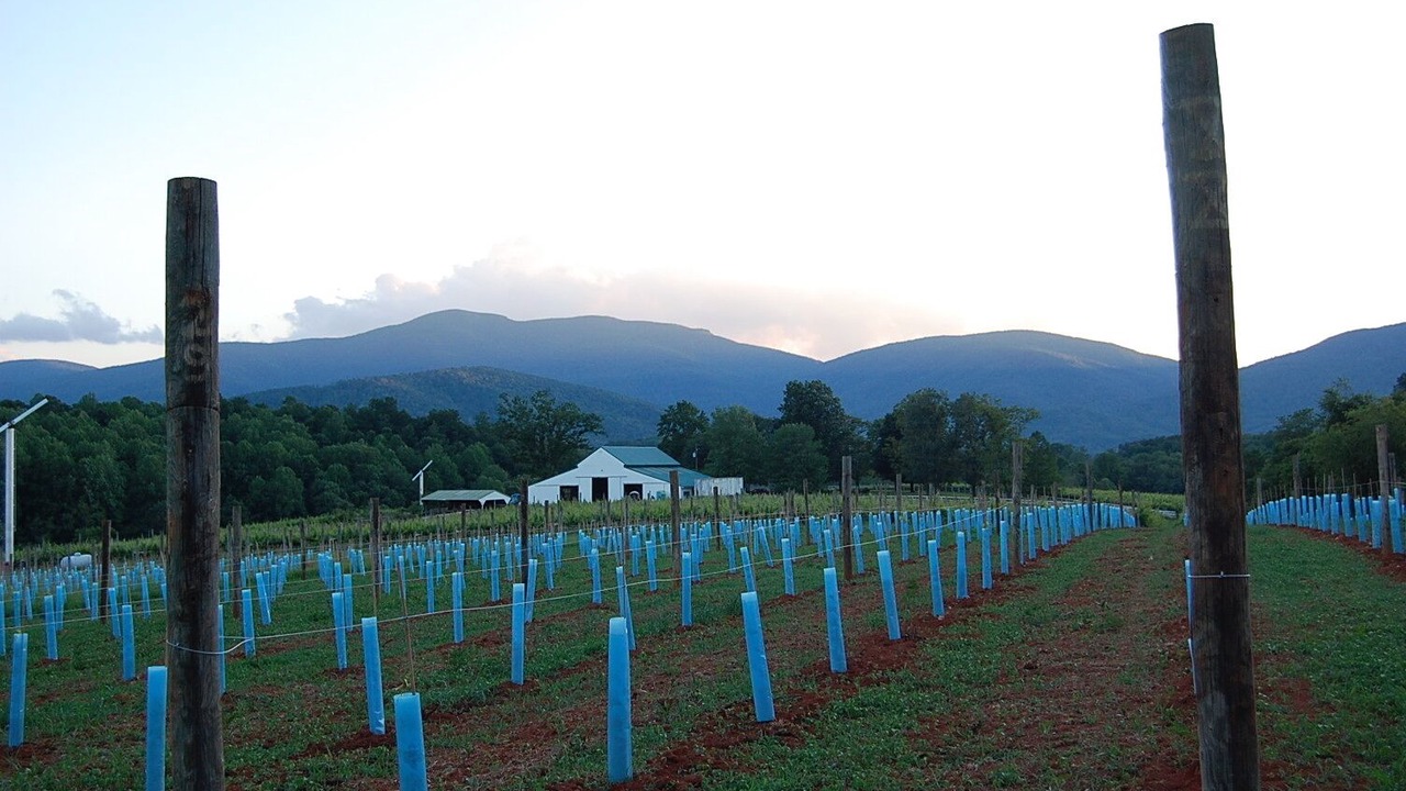 Photo of Outdoor in Afton